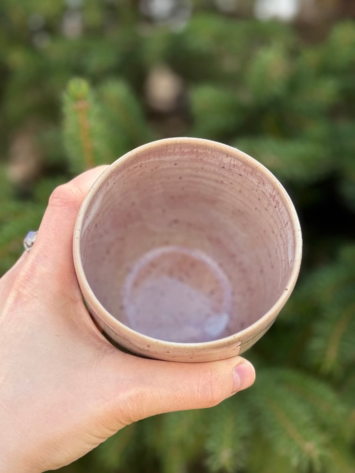 Pink and blue sunset tall cup